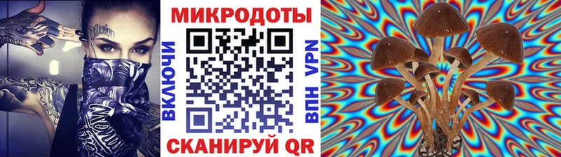 купить  сайты  OMG маркетплейс  Галлюциногенные грибы мицелий  Азнакаево 