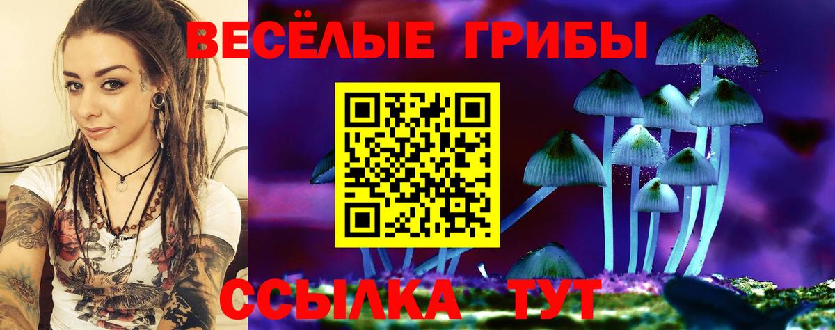 Галлюциногенные грибы Psilocybine cubensis Азнакаево