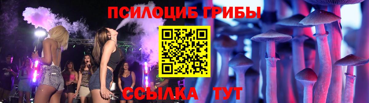 Галлюциногенные грибы Psilocybe  Псилоцибиновые грибы Cubensis  Вход с VPN  Азнакаево 
